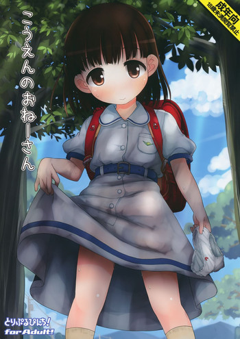 (C86) [とりぷるぴんち! (ひかみいずと)] こうえんのおねーさん