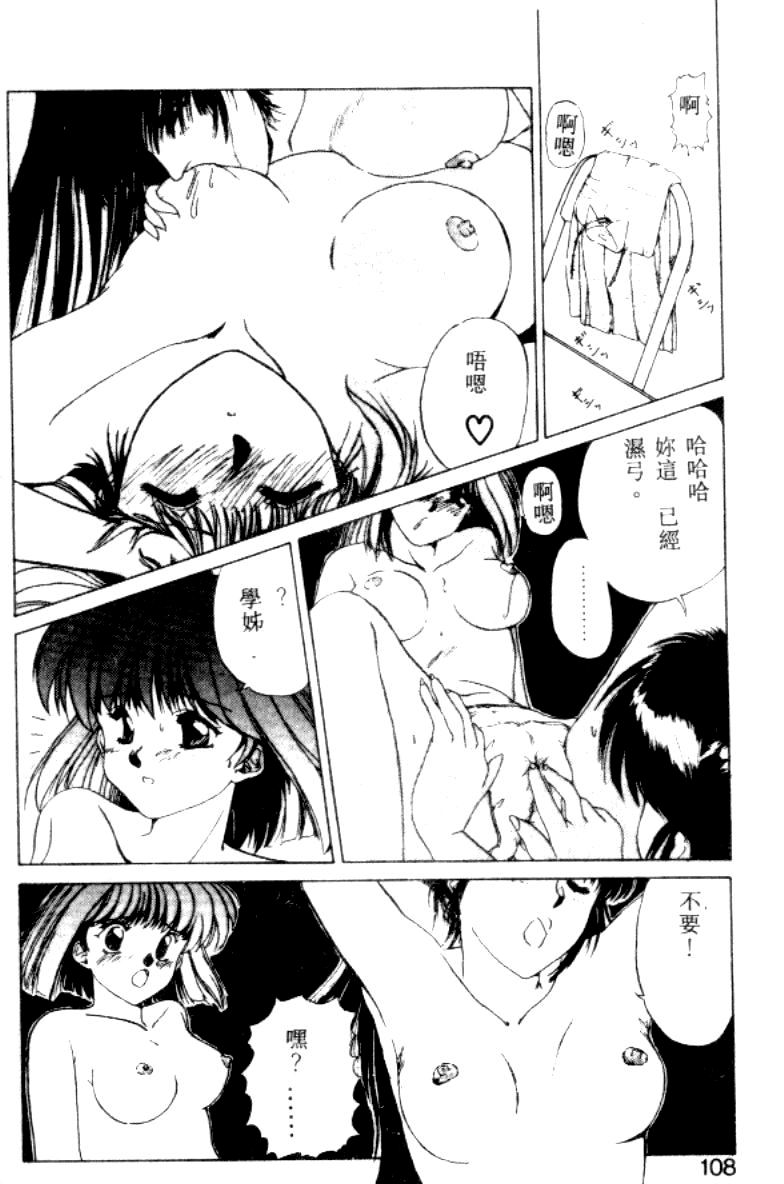 [にしき義統] FAIRY COUNTER（HME）[中国翻訳]