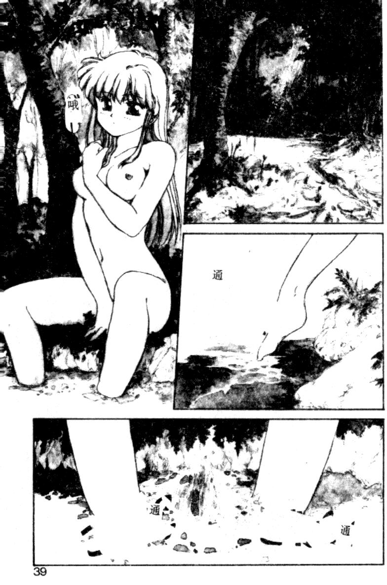 [にしき義統] FAIRY COUNTER（HME）[中国翻訳]