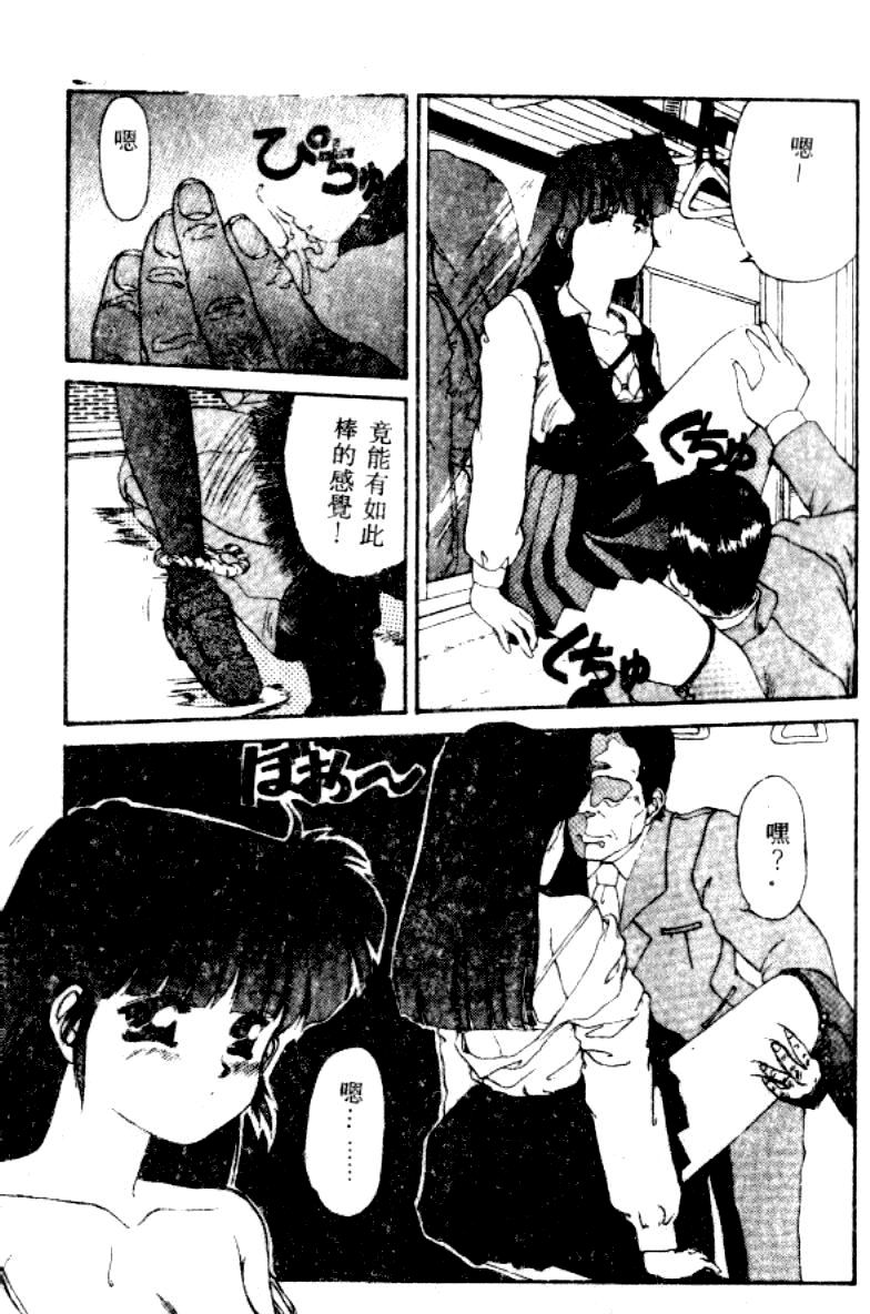 [にしき義統] FAIRY COUNTER（HME）[中国翻訳]