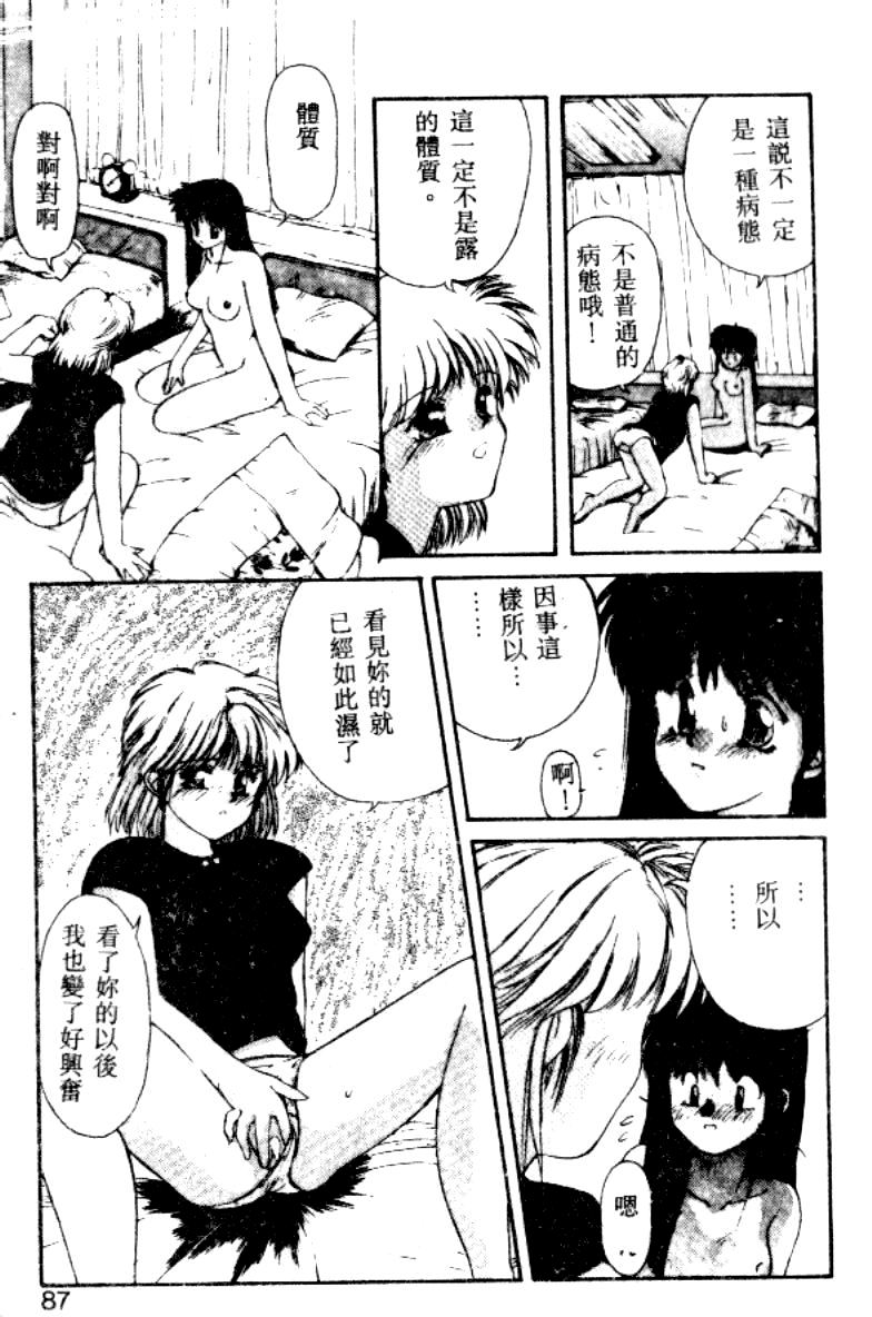 [にしき義統] FAIRY COUNTER（HME）[中国翻訳]