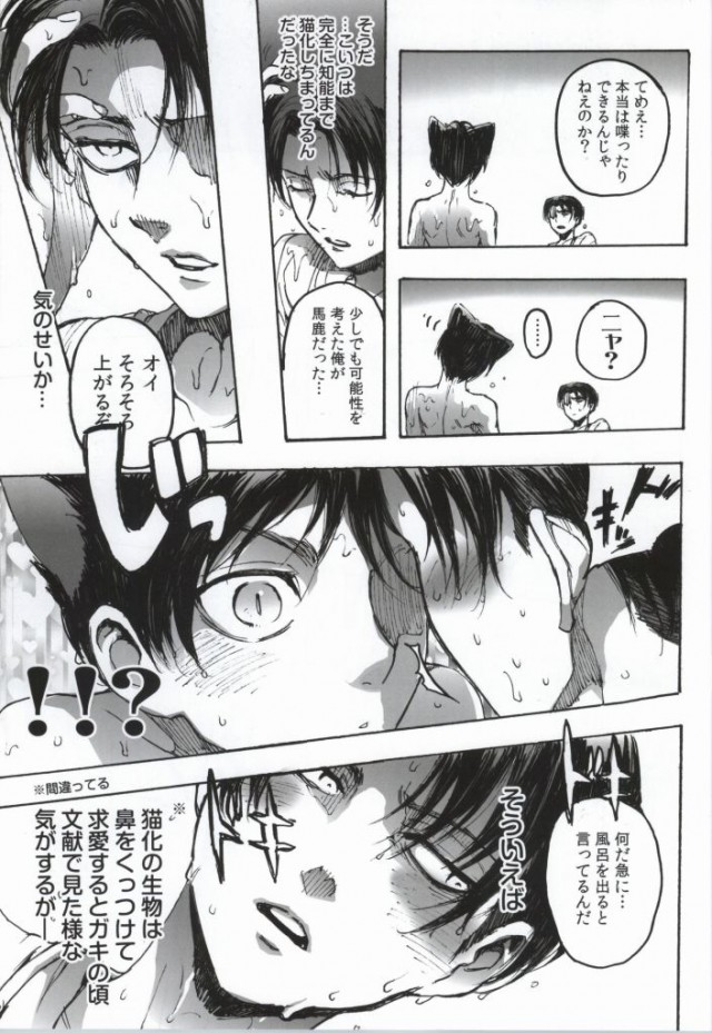 (C86) [おんじれ (たみー)] 猫になった部下が勝手に発情してすごく困る (進撃の巨人)