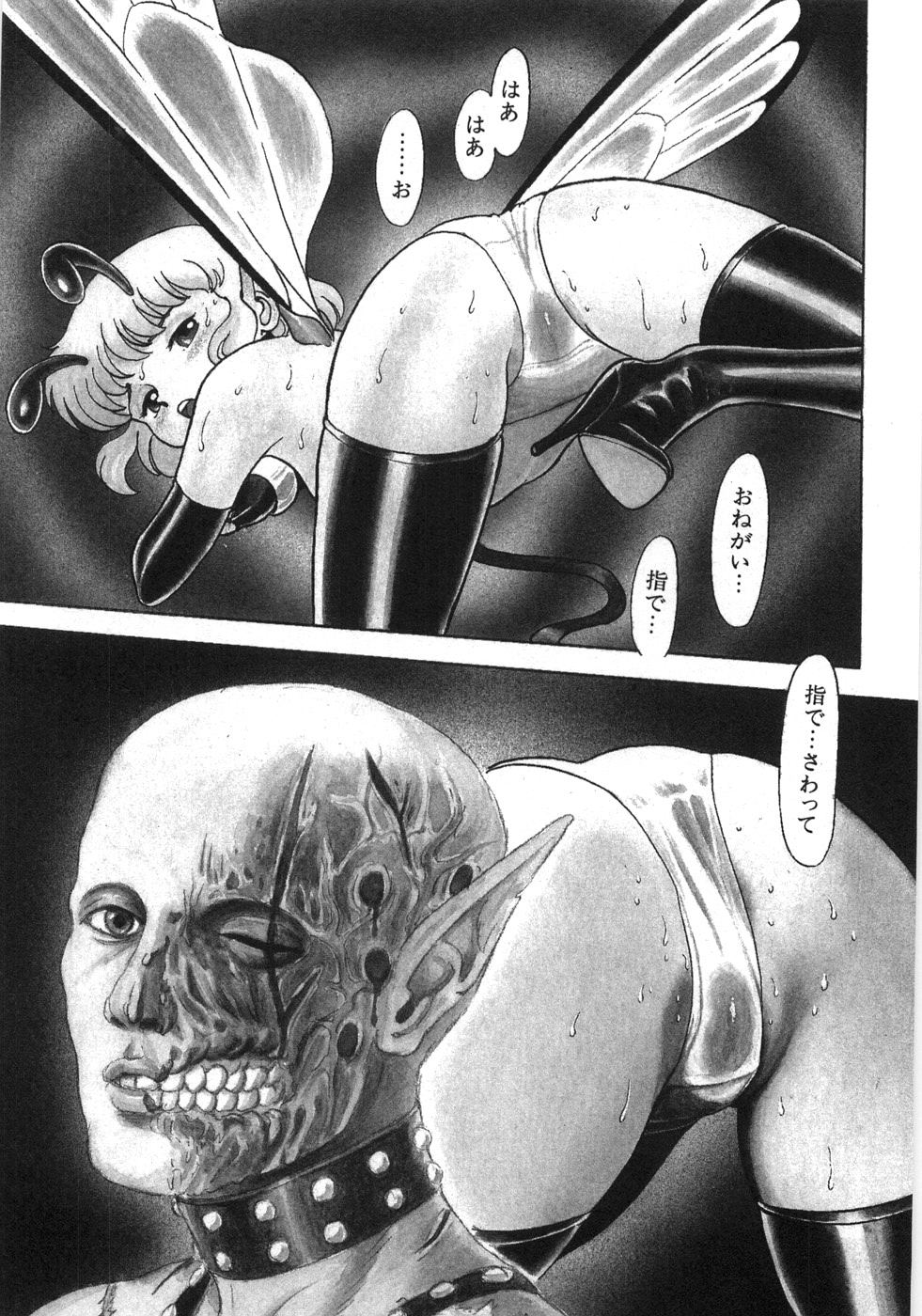 [昆童虫] ボンデージフェアリーズ残忍姉妹