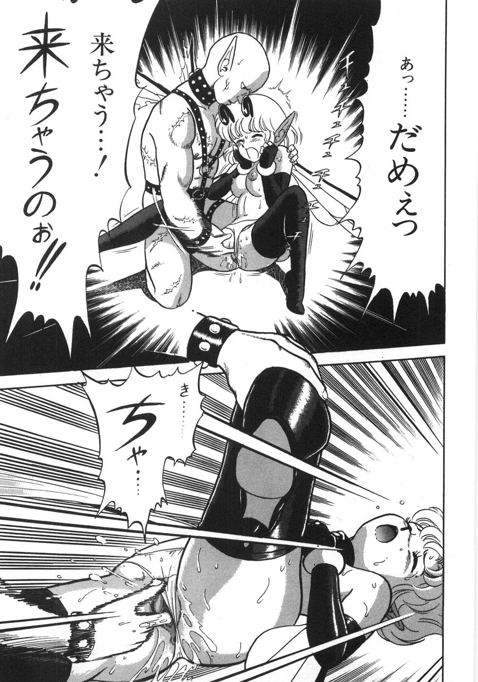 [昆童虫] ボンデージフェアリーズ残忍姉妹