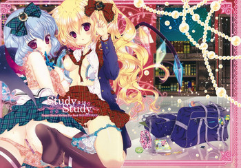 (例大祭10) [せとらん (イトウペコ, タンノポコ)] Study Study (東方Project)