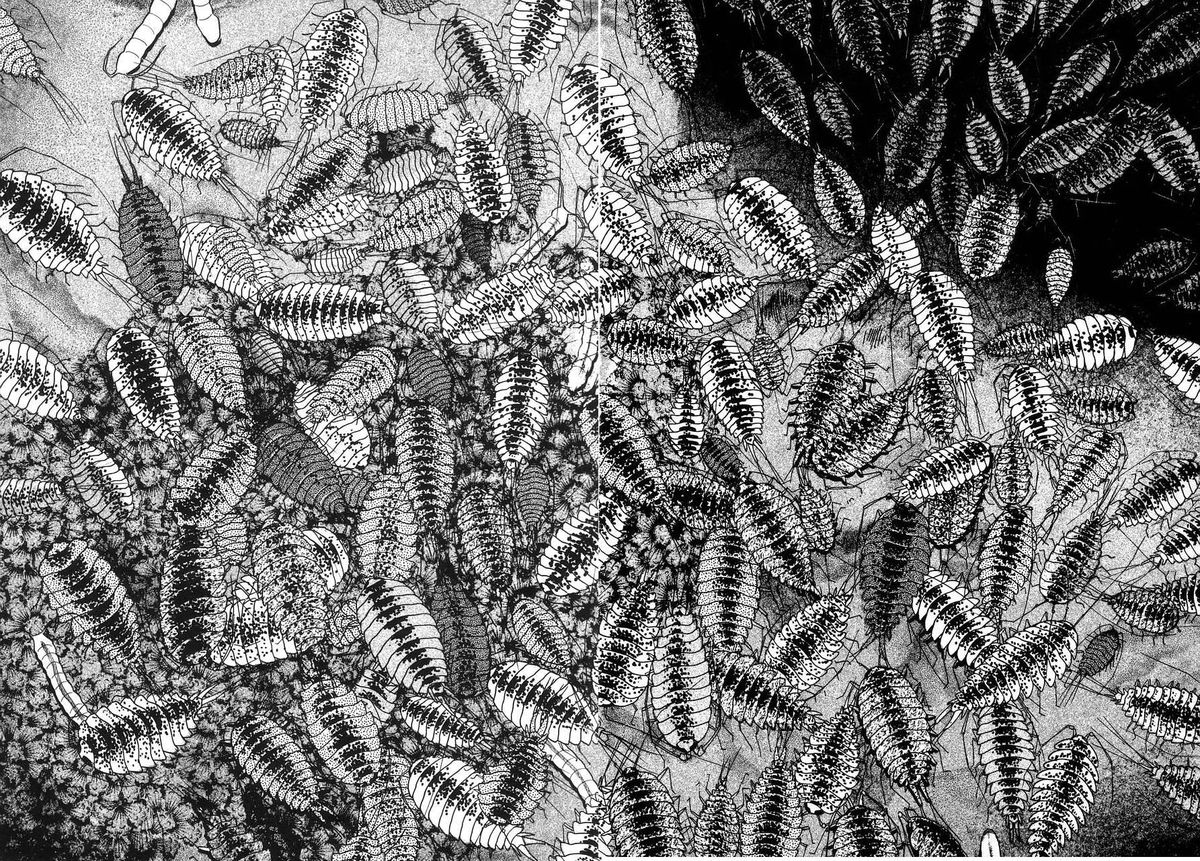 [久我山リカコ] Berry Very すとろべりぃ