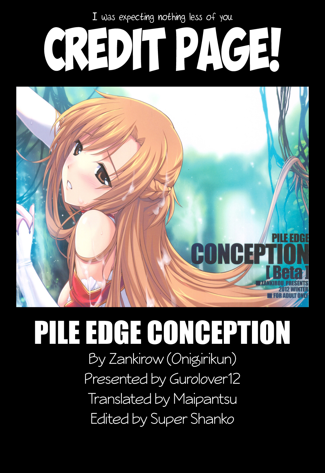 (C83) [斬鬼楼 (おにぎりくん)] PILEDGE CONCEPTION [Beta] (ソードアート·オンライン) [英訳]