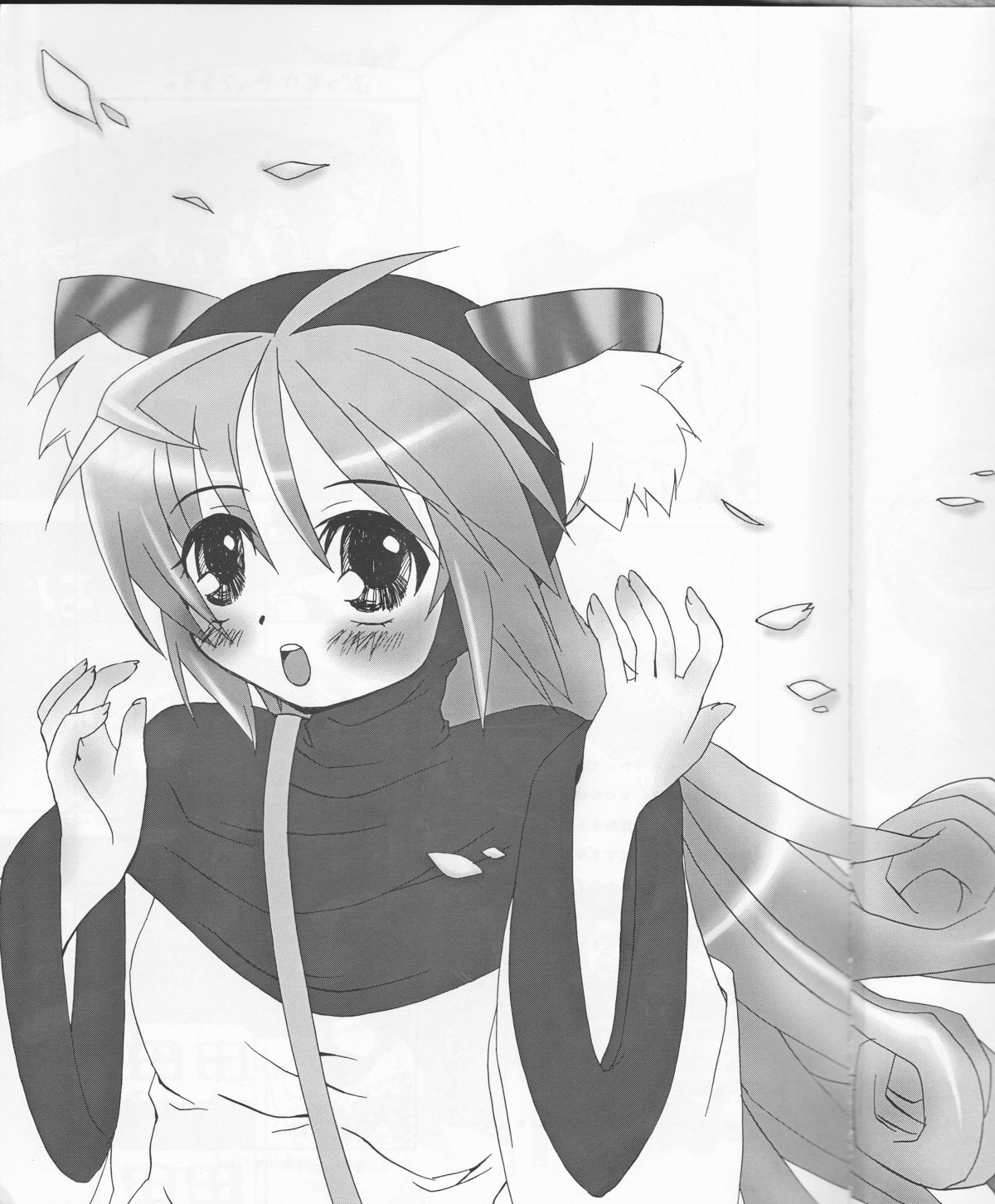 (サンクリ30) [twinkle hearts (みろみろ☆むむ)] ねこむんぷれみあむ (ドラゴンクエストII)