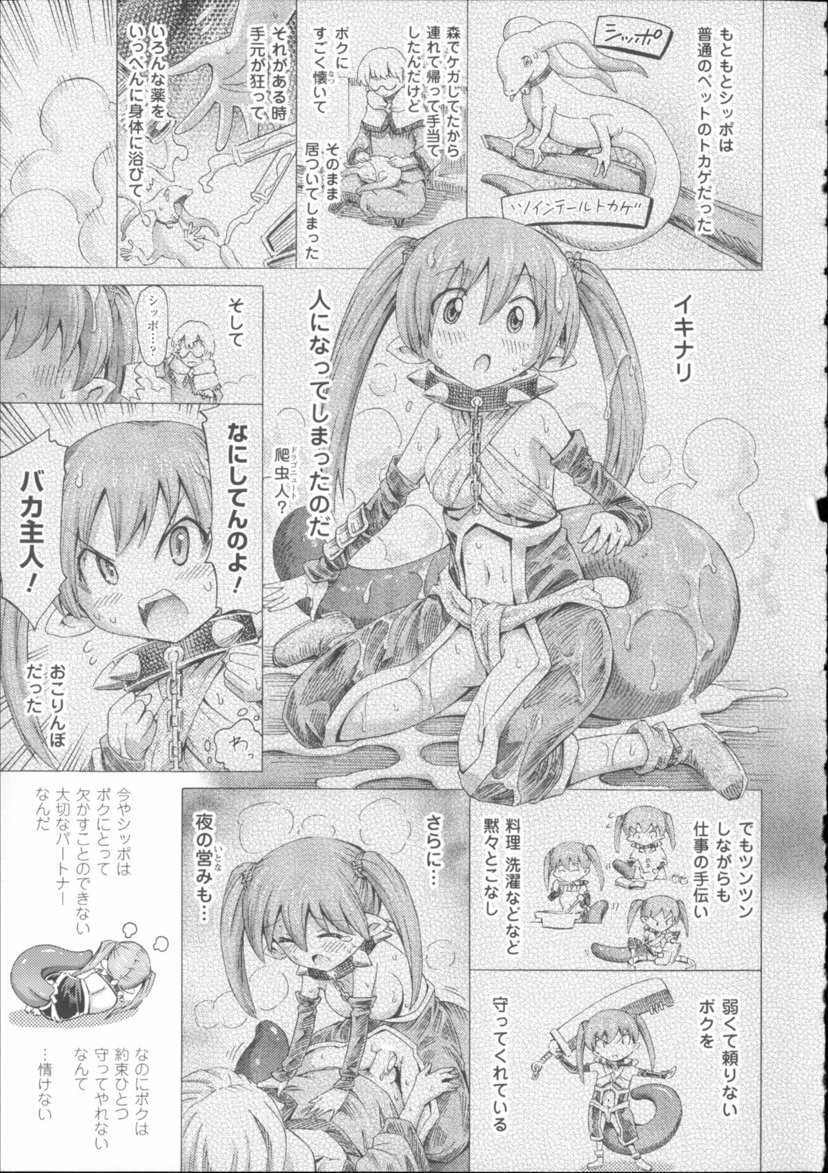 [ほりとも] ヴィーナスガーデン～非現実乙女と出会える街～ + 4Pリーフレット