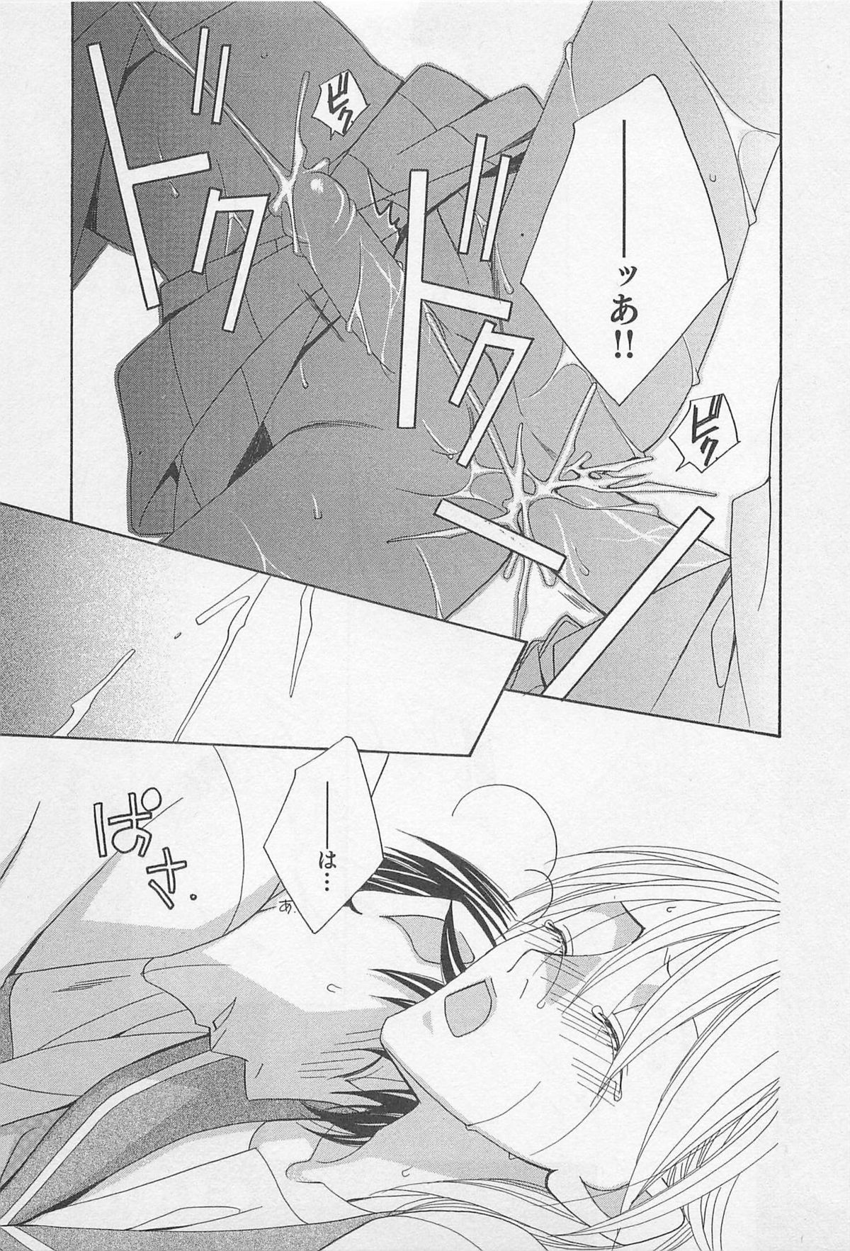 [羽柴紀子] ヤマアラシの誘惑