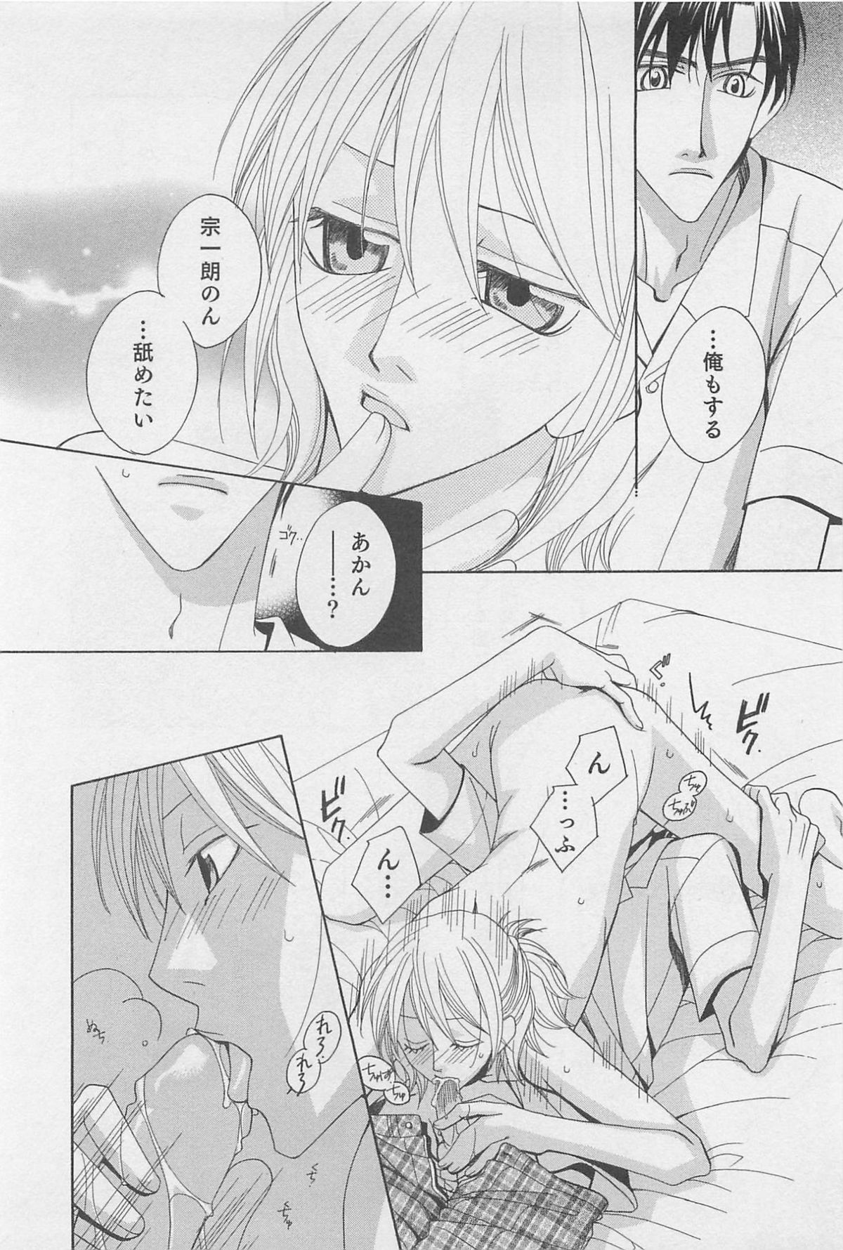 [羽柴紀子] ヤマアラシの誘惑