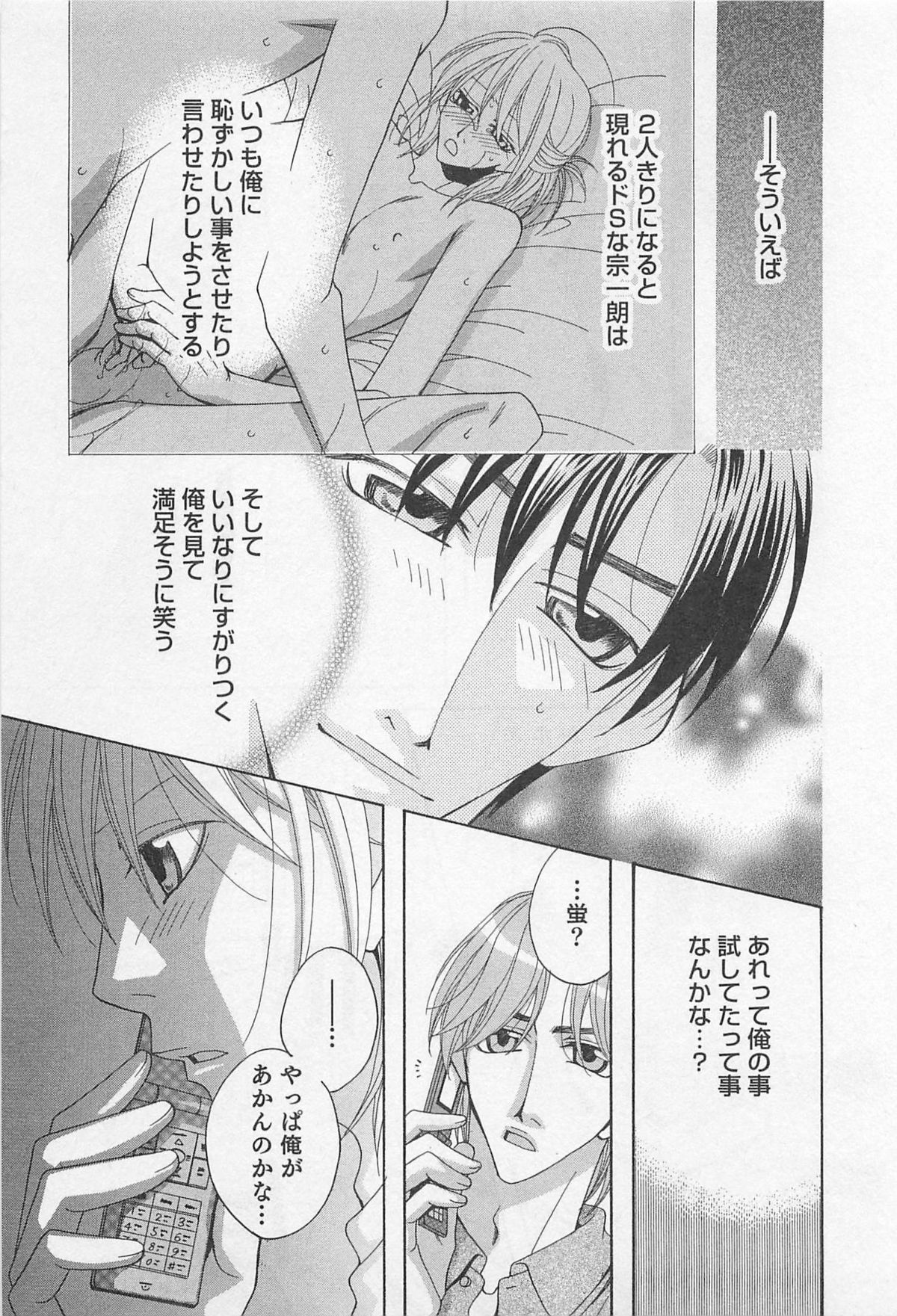 [羽柴紀子] ヤマアラシの誘惑