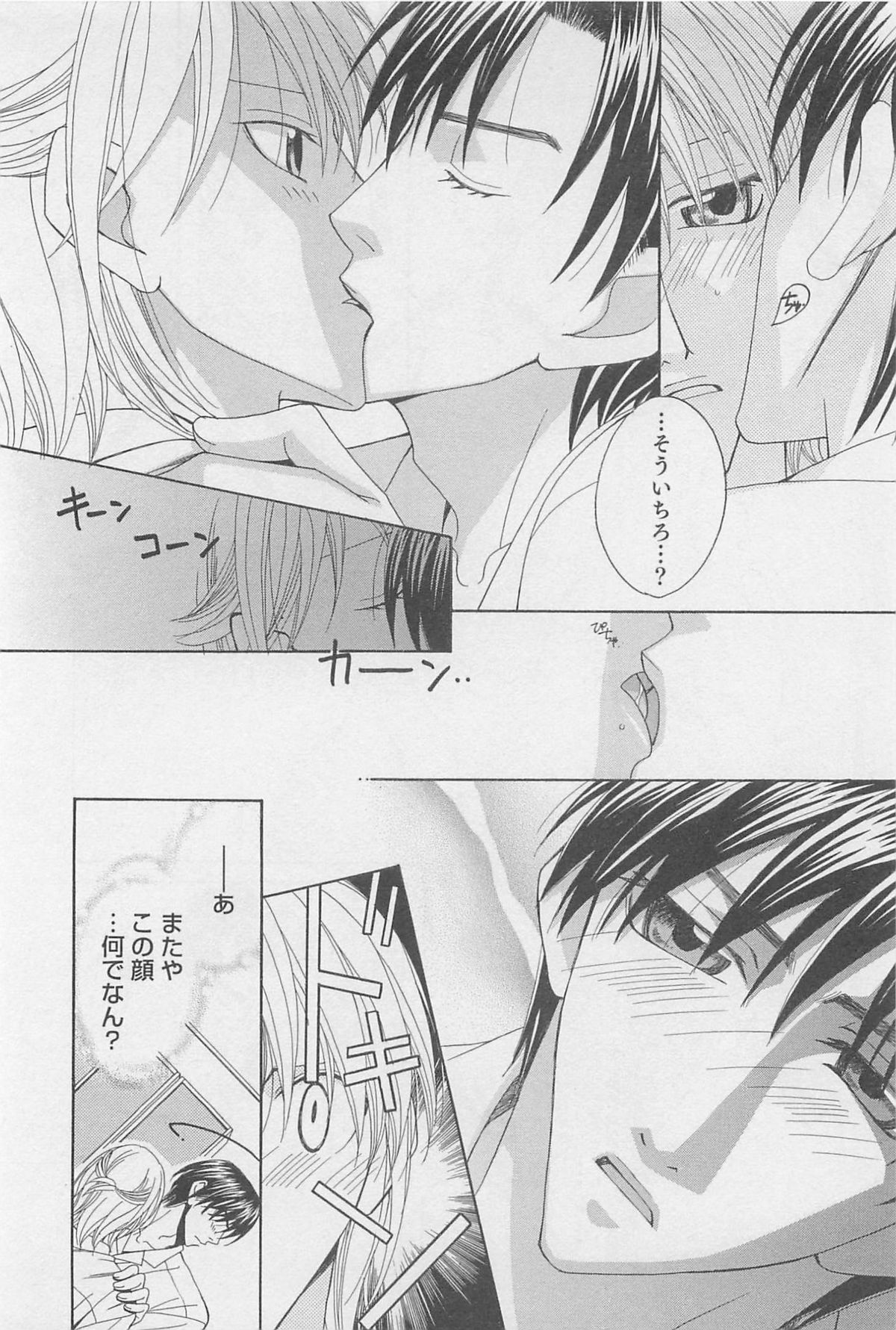 [羽柴紀子] ヤマアラシの誘惑