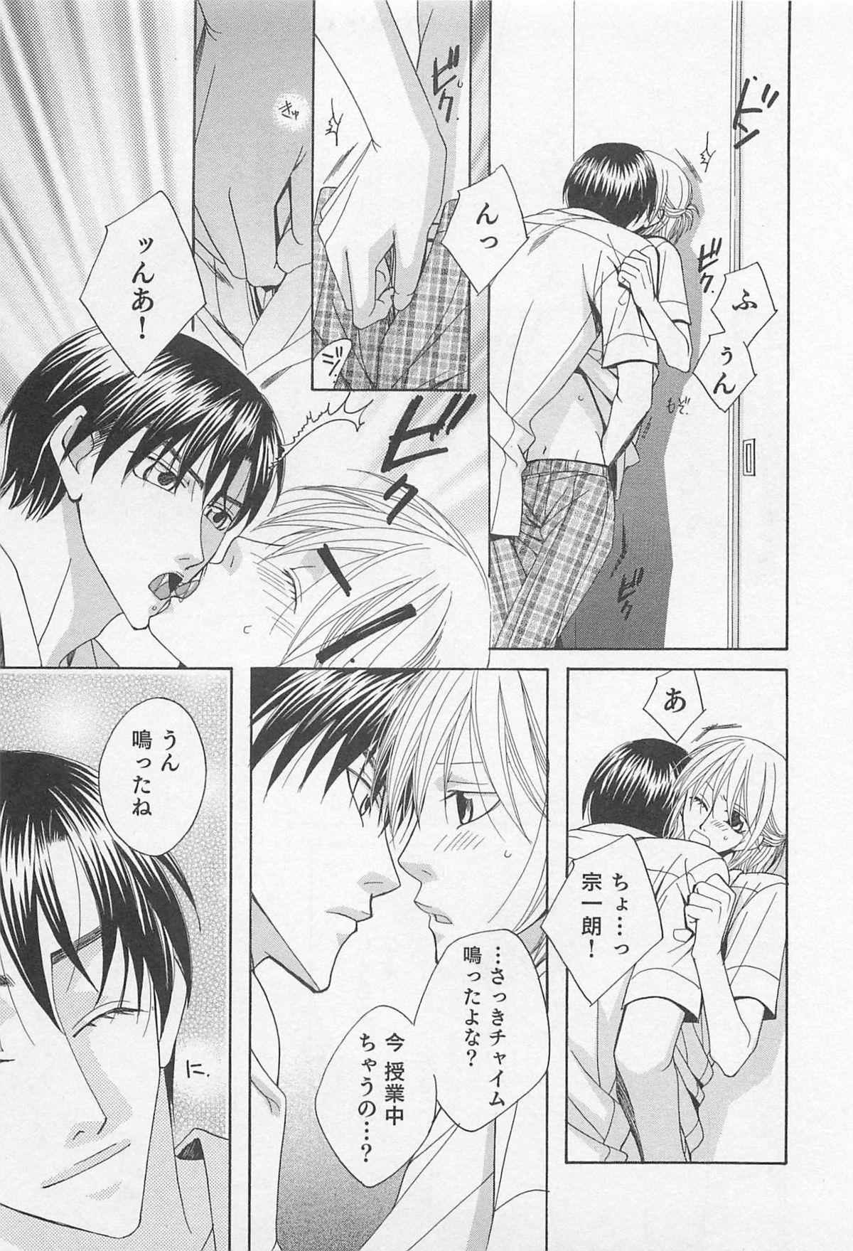 [羽柴紀子] ヤマアラシの誘惑