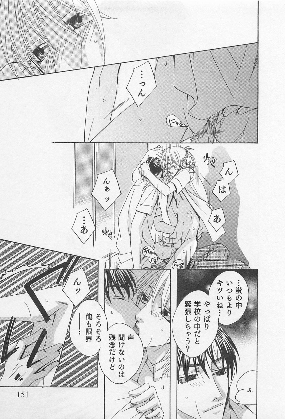 [羽柴紀子] ヤマアラシの誘惑