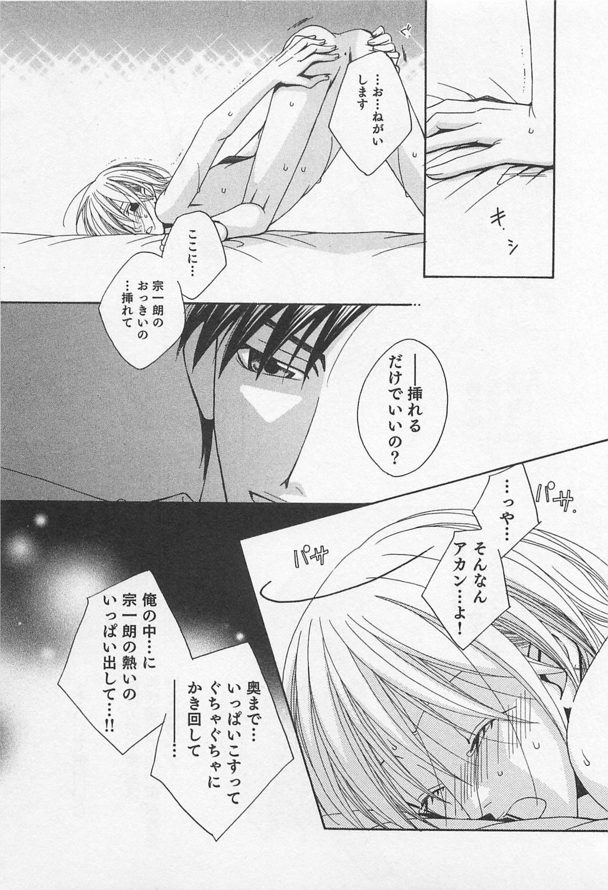 [羽柴紀子] ヤマアラシの誘惑