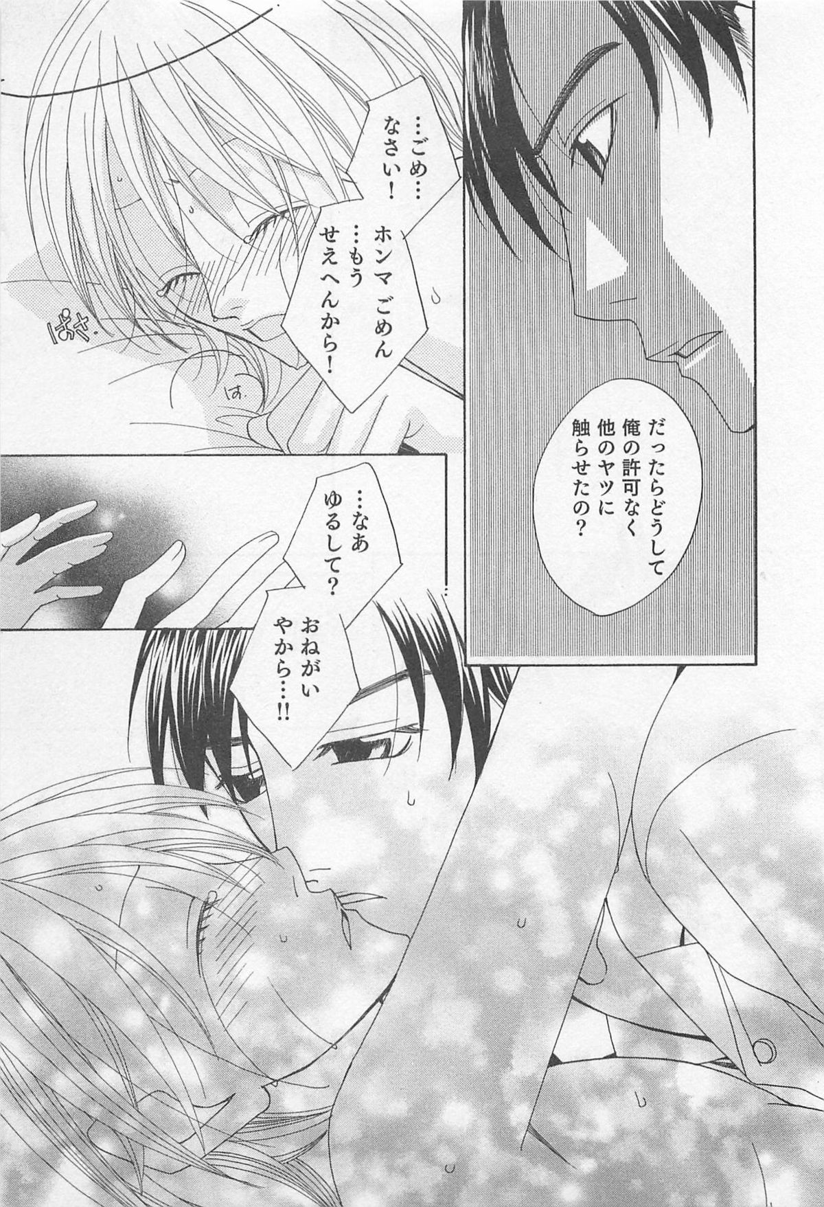 [羽柴紀子] ヤマアラシの誘惑