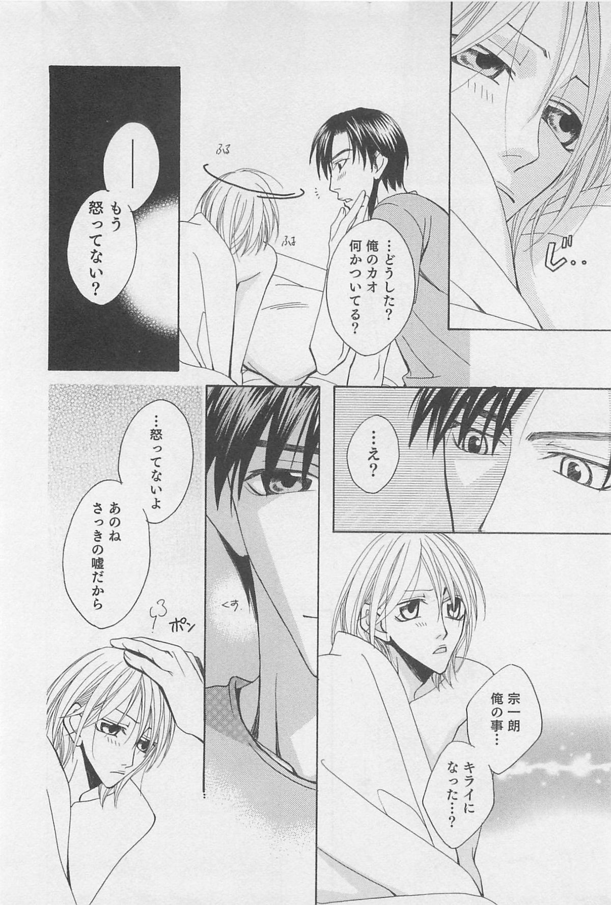 [羽柴紀子] ヤマアラシの誘惑