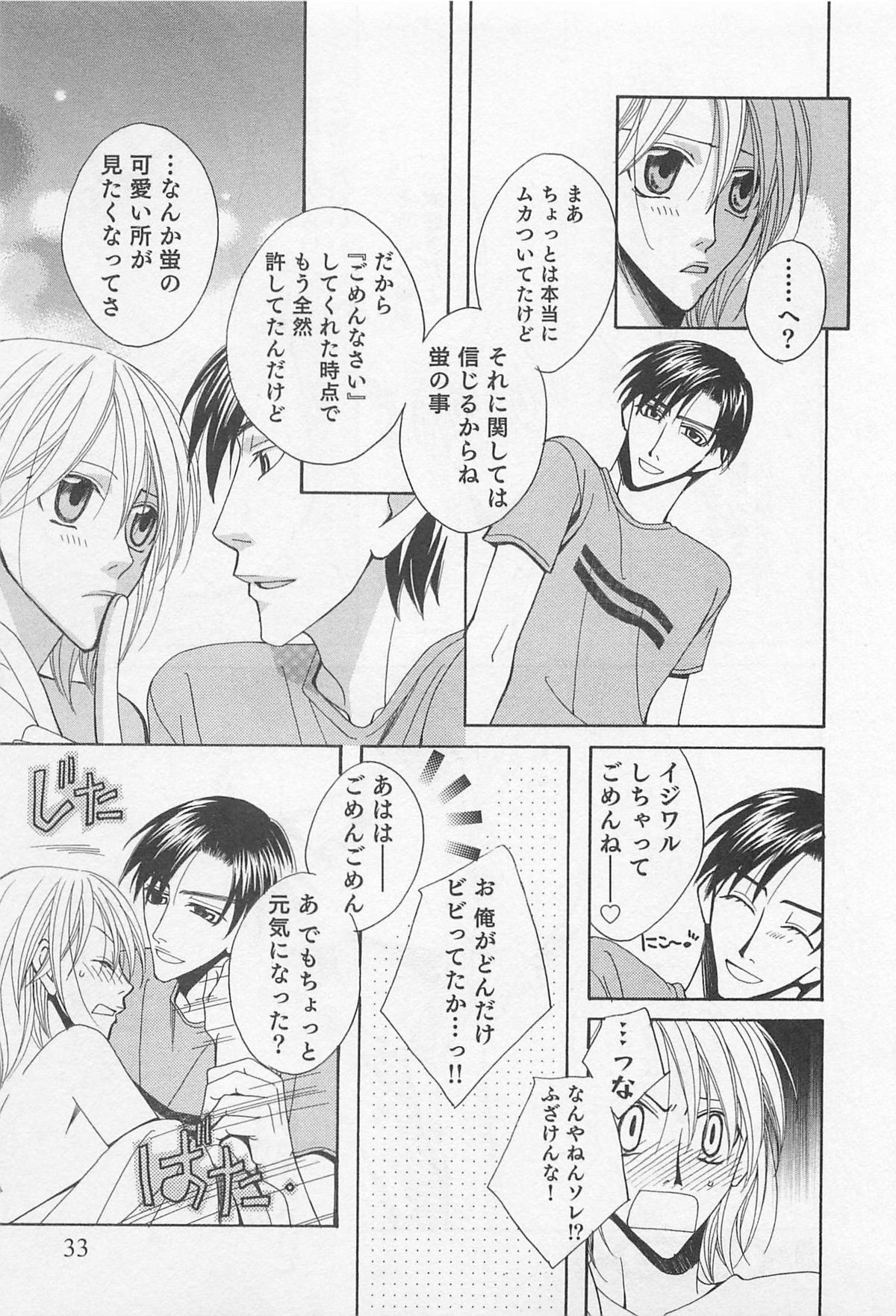 [羽柴紀子] ヤマアラシの誘惑