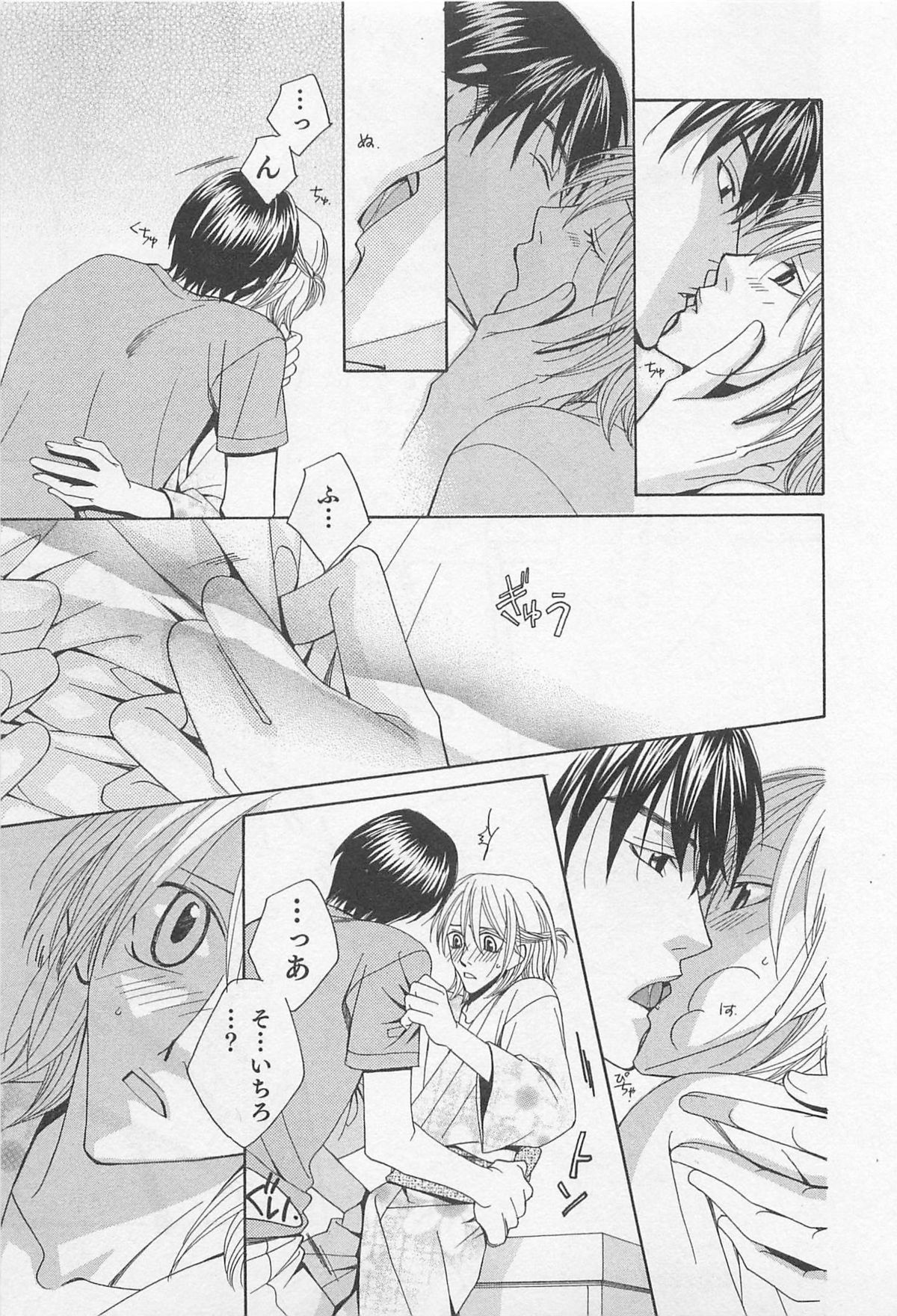 [羽柴紀子] ヤマアラシの誘惑