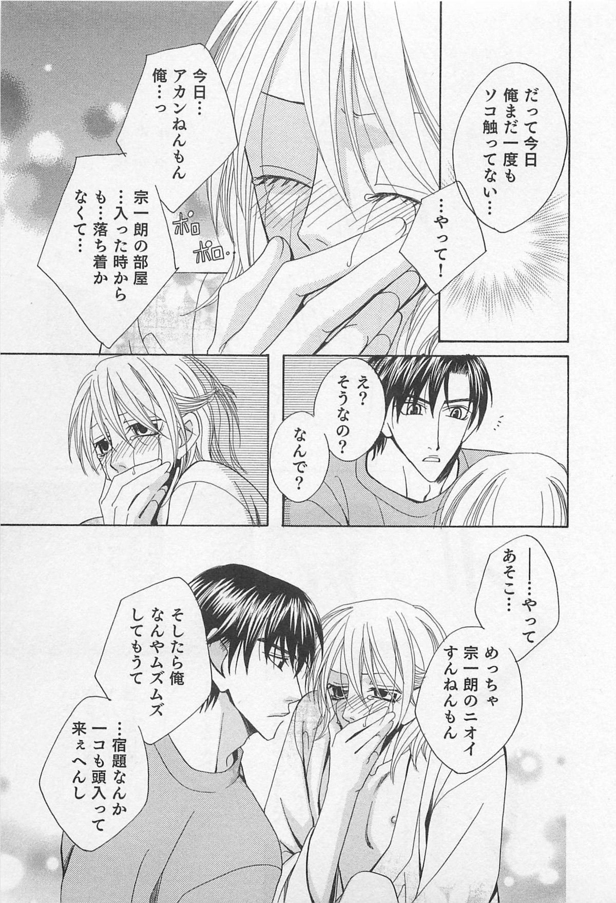 [羽柴紀子] ヤマアラシの誘惑