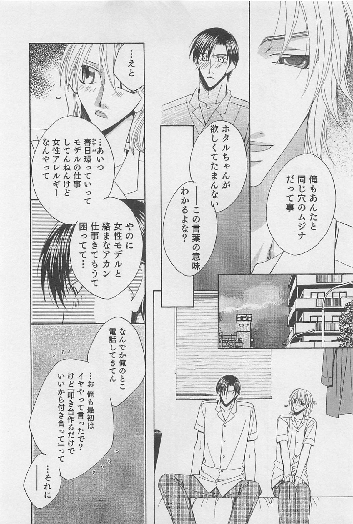 [羽柴紀子] ヤマアラシの誘惑