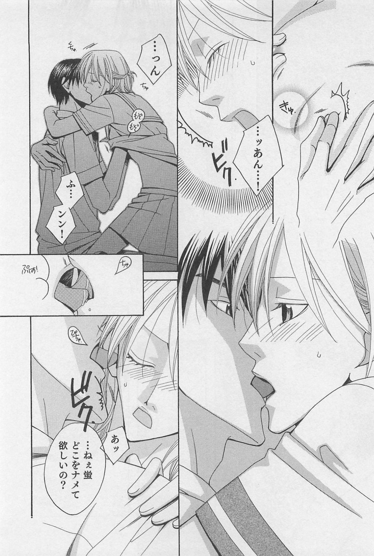 [羽柴紀子] ヤマアラシの誘惑