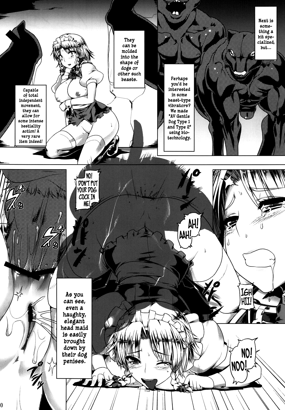 （C80）[ルイケツアン、ハートの巣（なみだめ、はと）]嫌いな人はどうですか？ （東方Project）[英語] {Anonygoo + Afro}