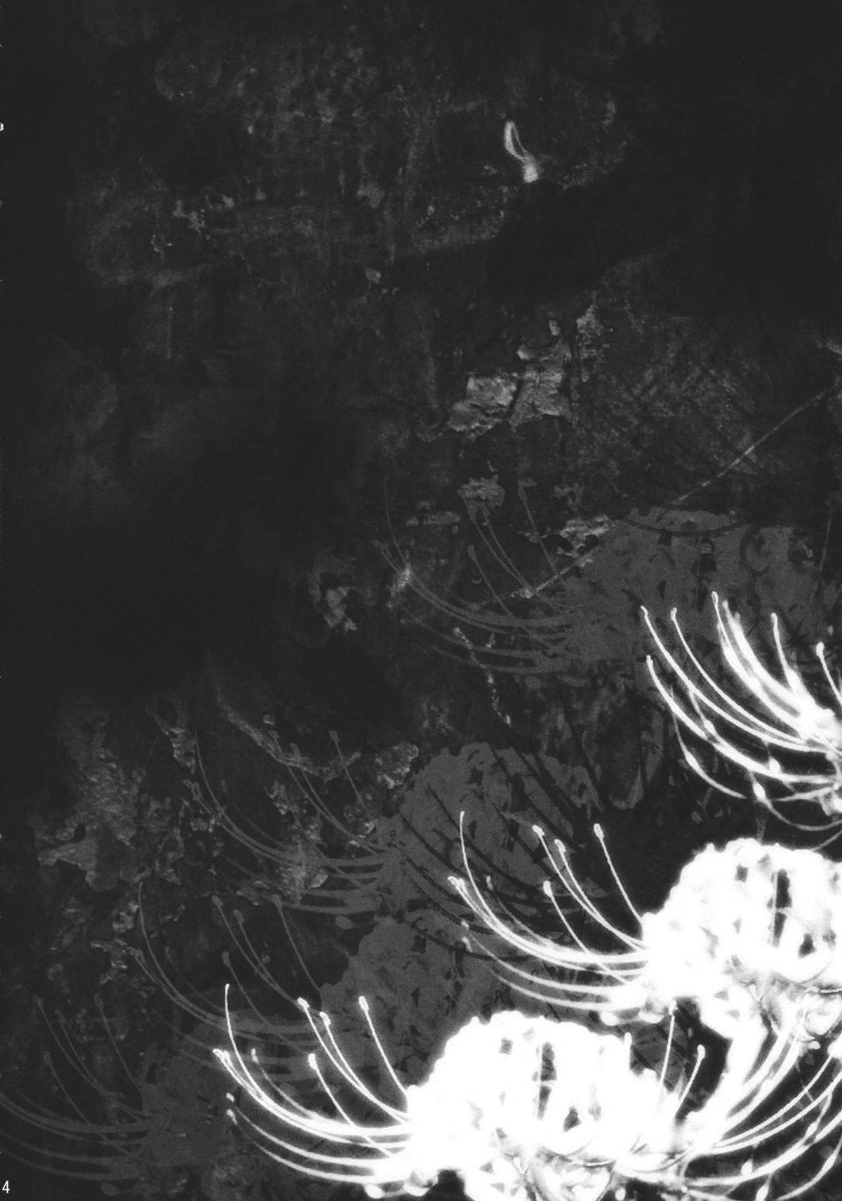 (C85) [三日月音頭 (かっぱ)] My Dear Bunny (東方Project)