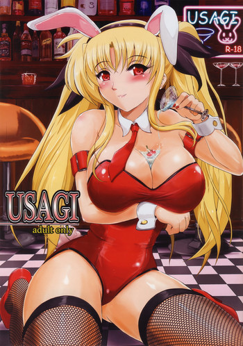 [焼酎MAC (ほずみけんじ)] USAGI (魔法少女リリカルなのは)