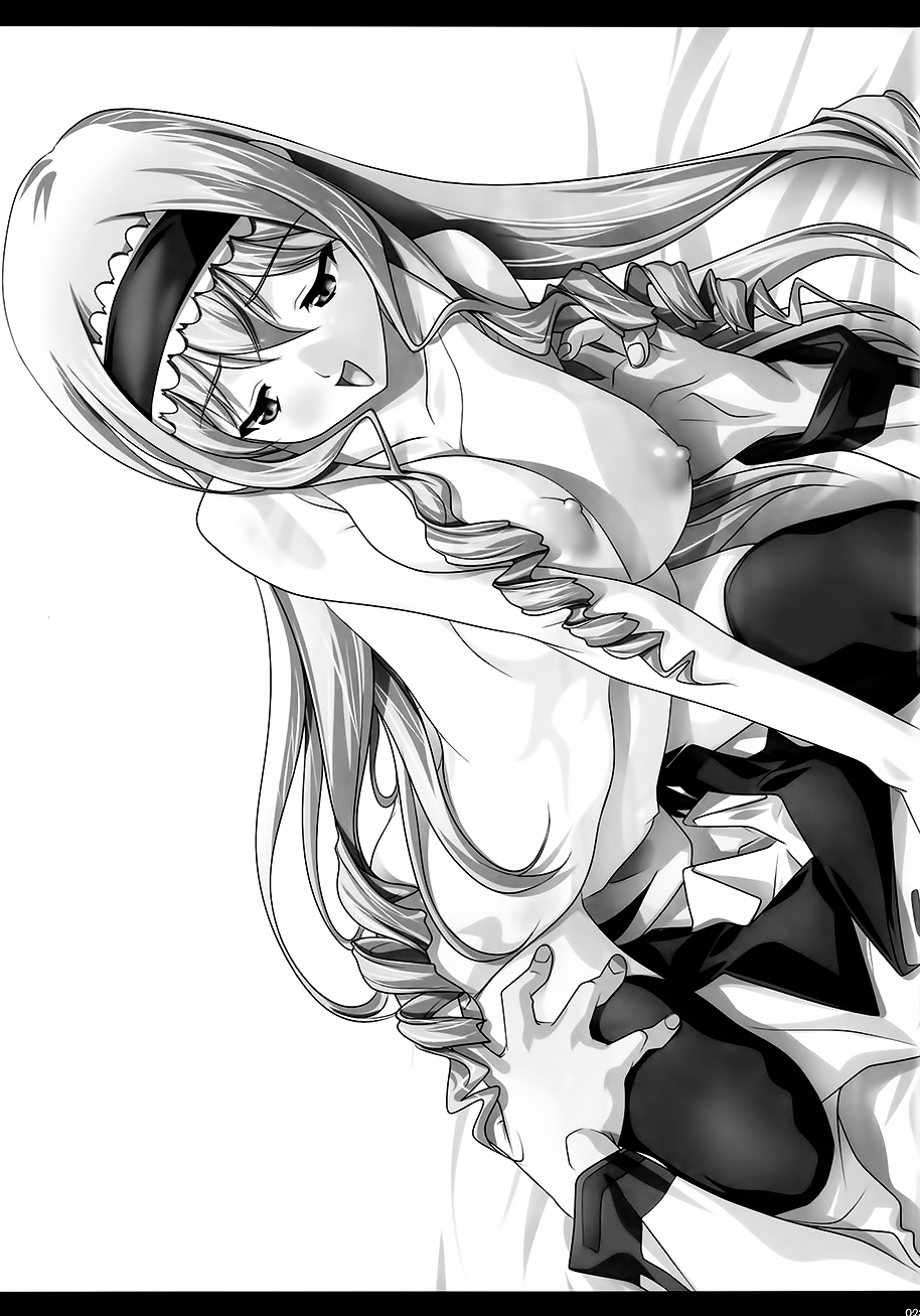 (COMIC1☆5) [彩～IRODORI～ (そよそよ) H'I,S (インフィニット・ストラトス) [英訳]