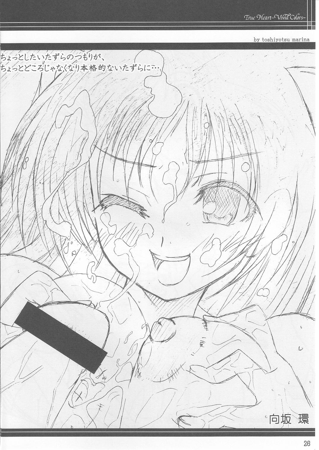 (C68) [The Basement Frontier (よろず)] True Heart -Vivid Colors- (トゥハート2)