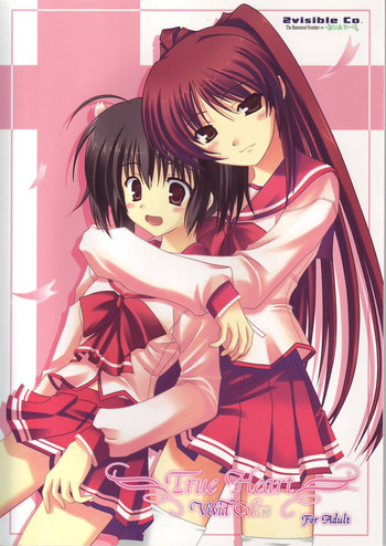 (C68) [The Basement Frontier (よろず)] True Heart -Vivid Colors- (トゥハート2)