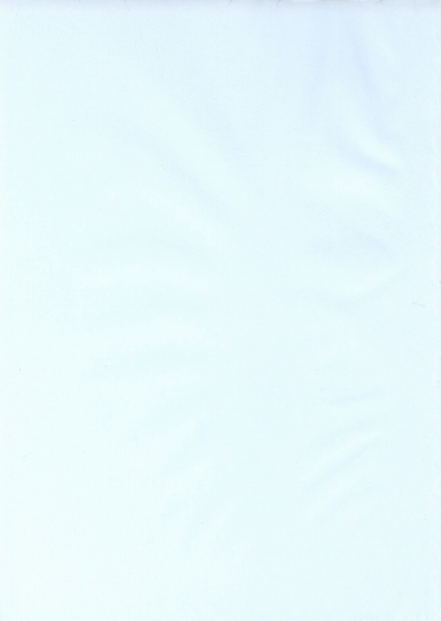 (C62) [ろりえーる (黒崎まいり)] プチ Petit