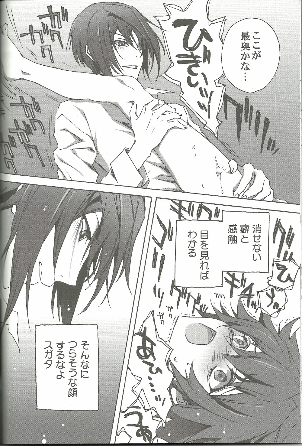 (SUPER20) [CARNELIAN] スキナモノヲスキナダケ (STAR DRIVER 輝きのタクト)