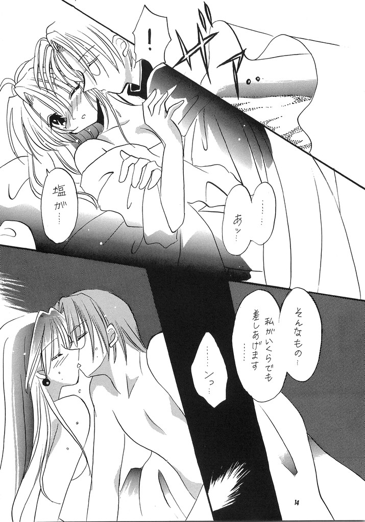 [Silver Stone (桐島梨央)] LOVE ME TENDER (マリーのアトリエ ～ザールブルグの錬金術士～)