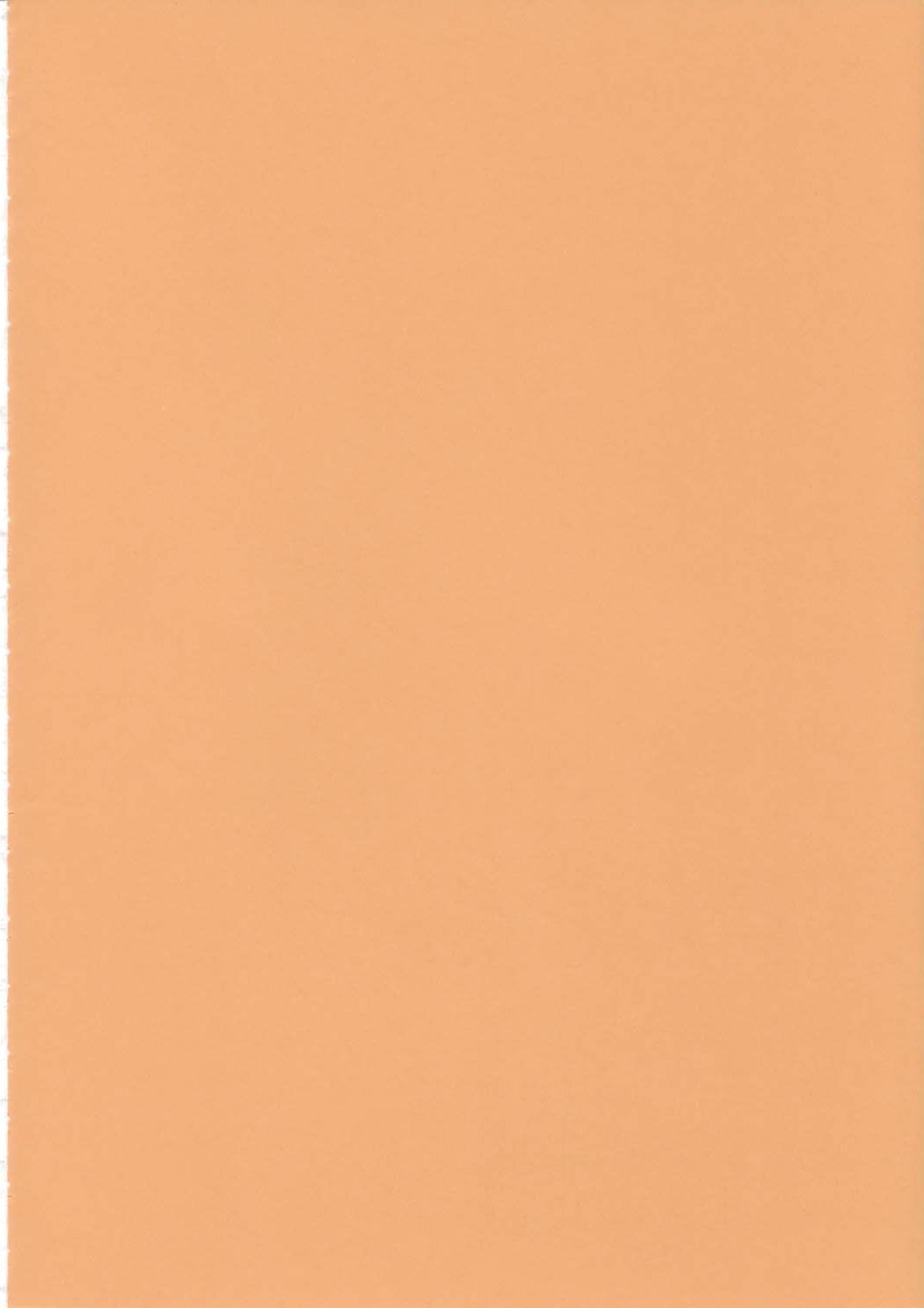 (サンクリ19) [床子屋 (鬼頭えん)] Bloody Romance 日常或いは平穏な日2 (真・女神転生)