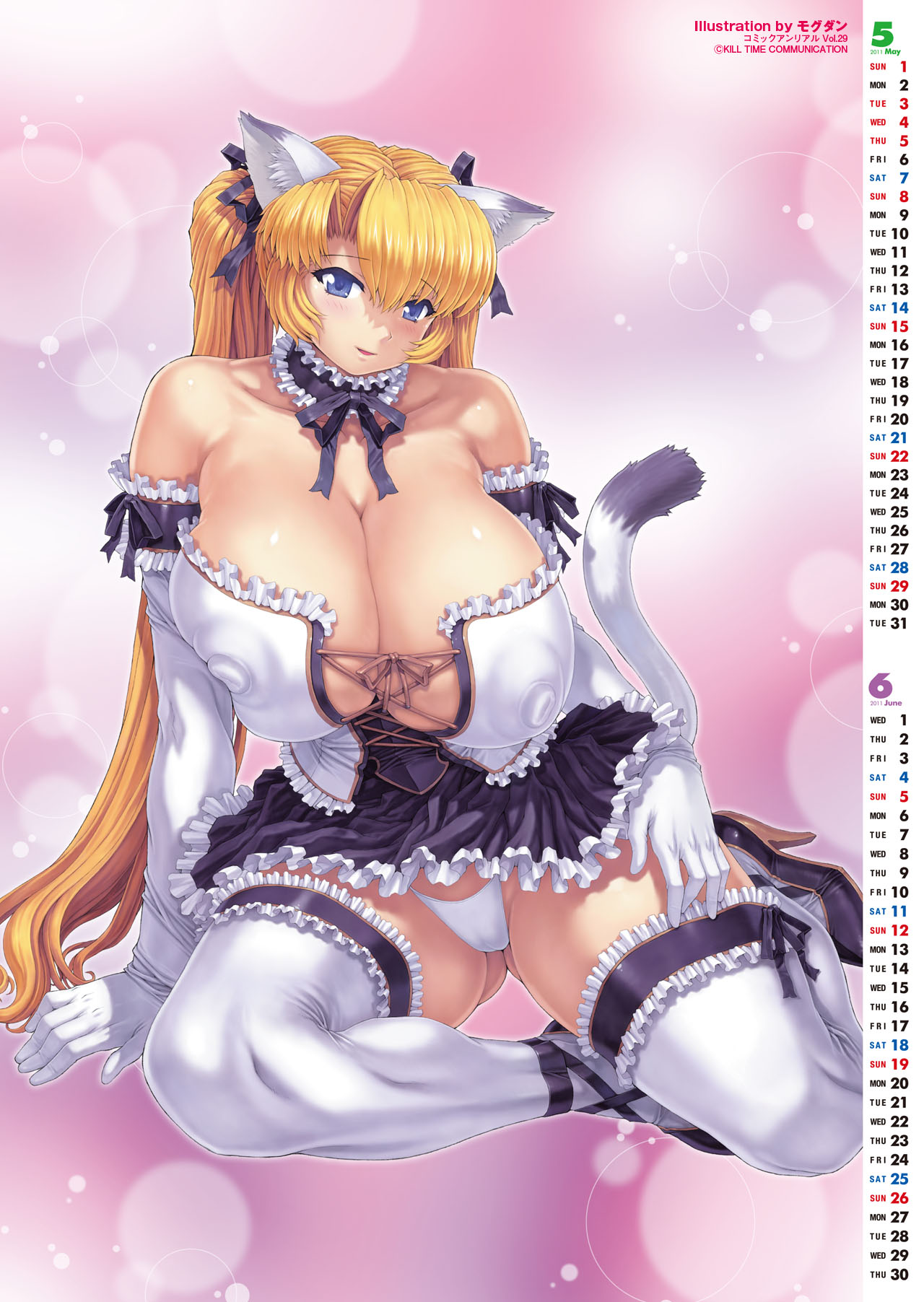 コミックアンリアル 2011年2月号 Vol.29 [DL版]