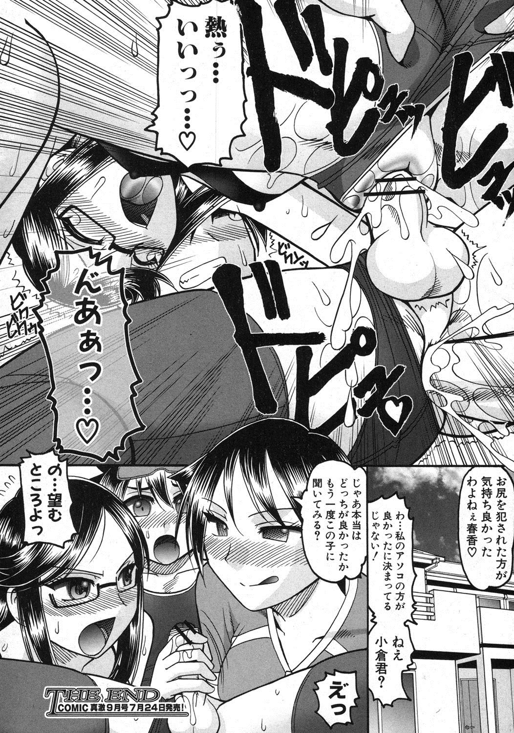 COMIC 真激 2012年8月号 [DL版]