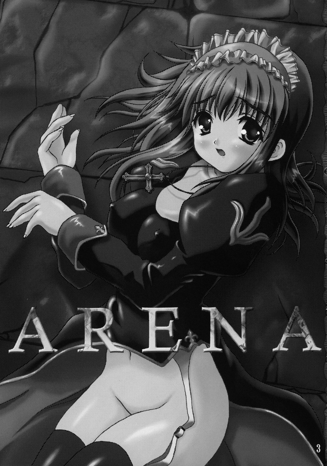 (C65) [Ark Emerald (七瀬瑞穂)] ARENA (ラグナロクオンライン)