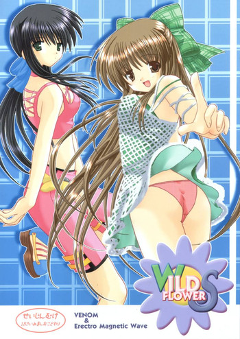 (Cレヴォ29) [VENOM, ElectromagneticWave (よろず)] WILD FLOWERS (カノン)