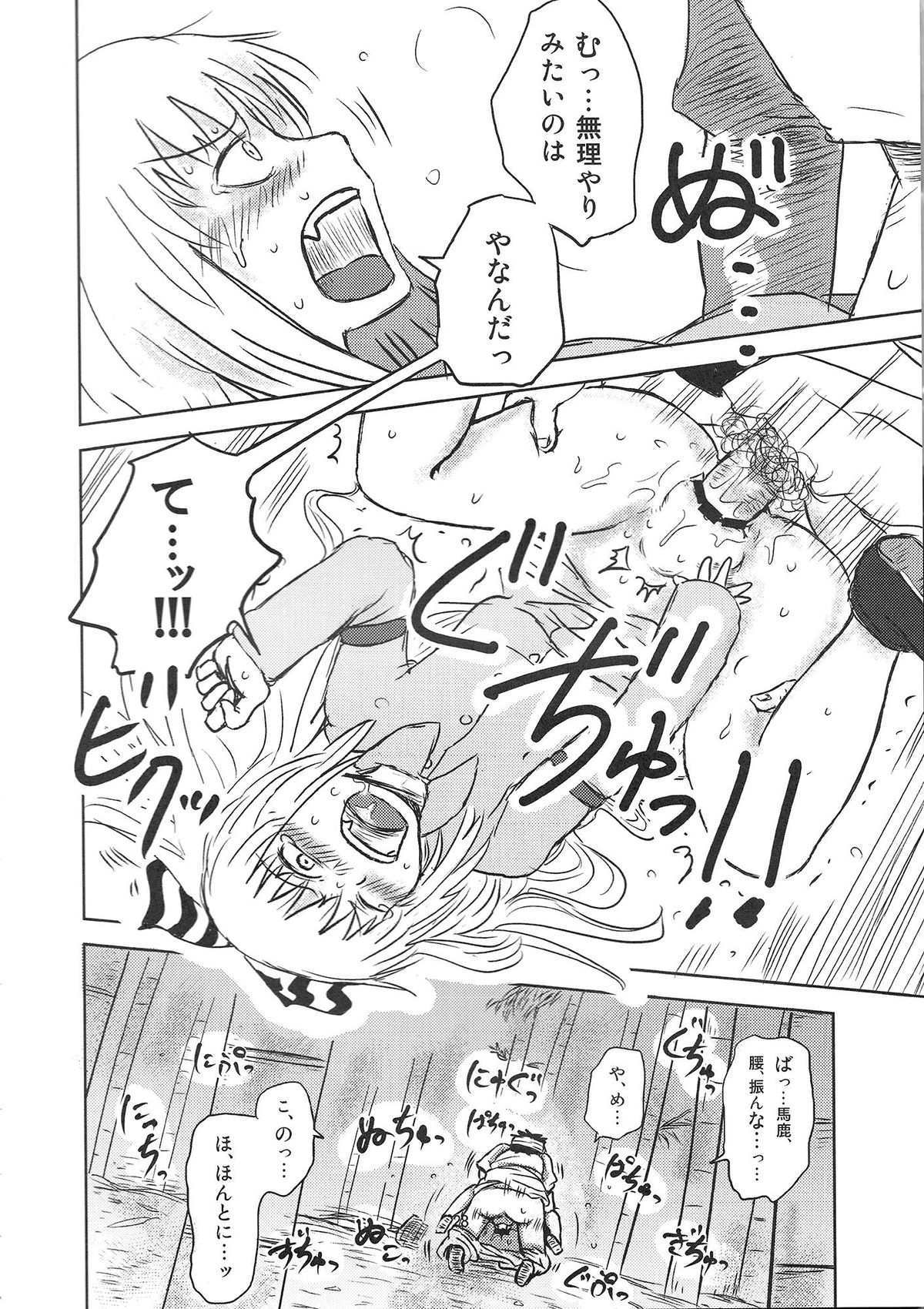 (C78) [川豚毒 (加藤フグオ)] するだけ。 (東方Project)