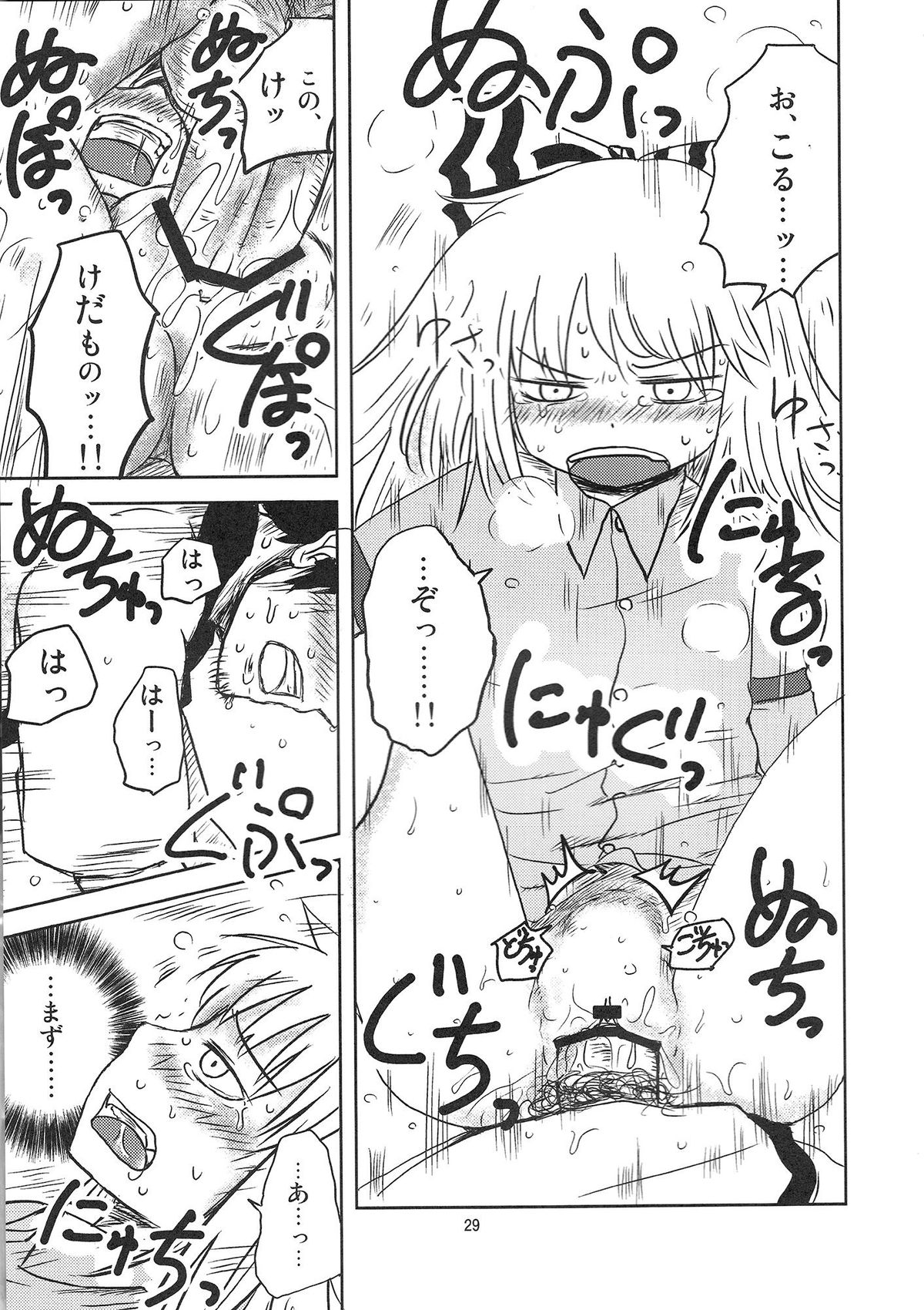 (C78) [川豚毒 (加藤フグオ)] するだけ。 (東方Project)