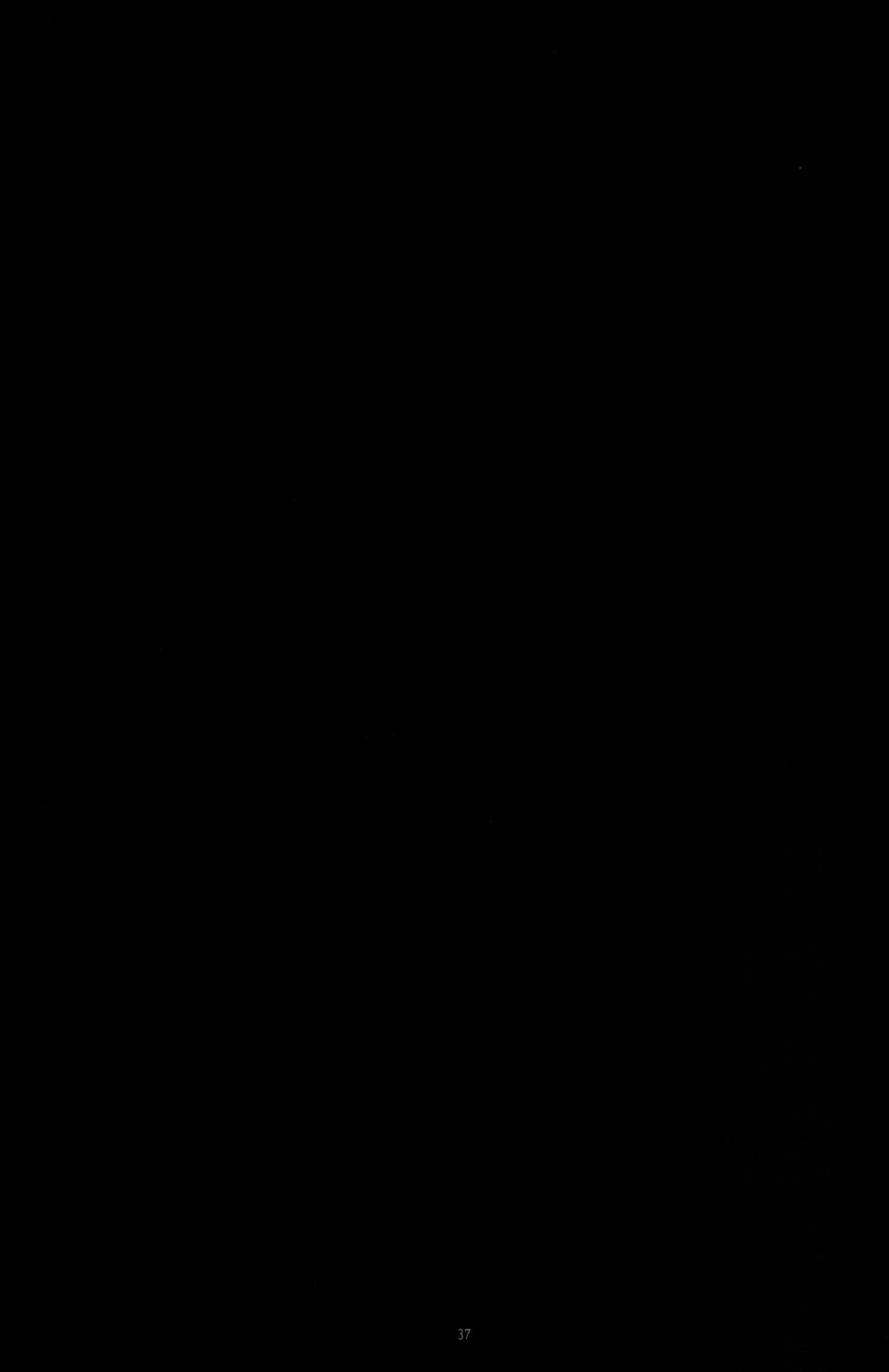 キューブ-天のひばな