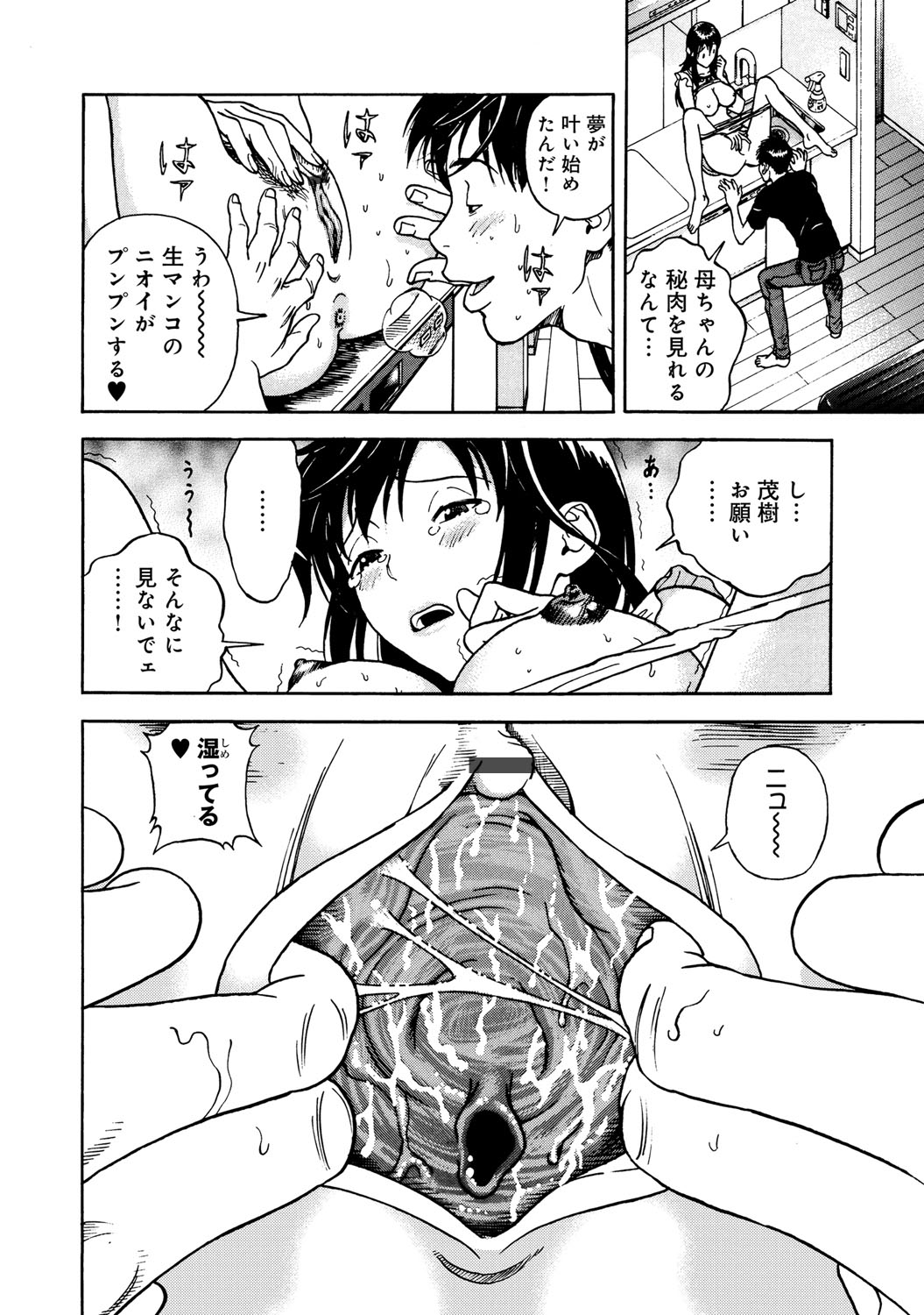 コミックマグナム Vol.52 [DL版]