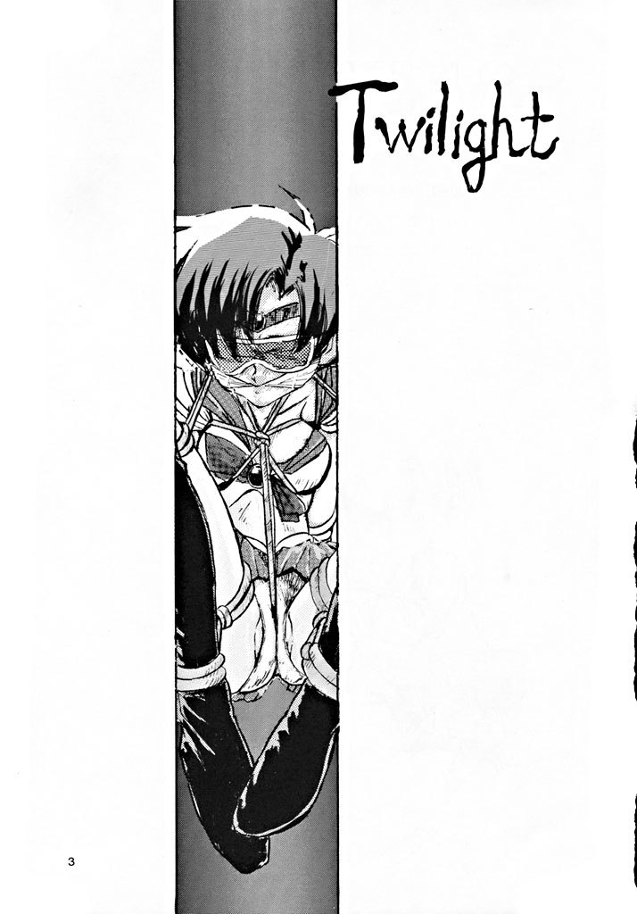 [MISTY MIDNIGHT (白坂美由)] Twilight (美少女戦士セーラームーン)