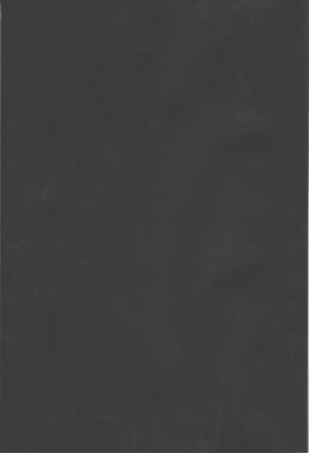 (C83) [Synthetic Garden (美和美和)] Night Ops (ストライクウィッチーズ)