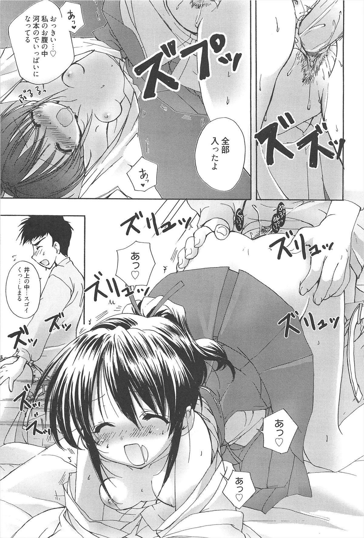 [猫屋敷ねこ丸] しゅがーすぽっと