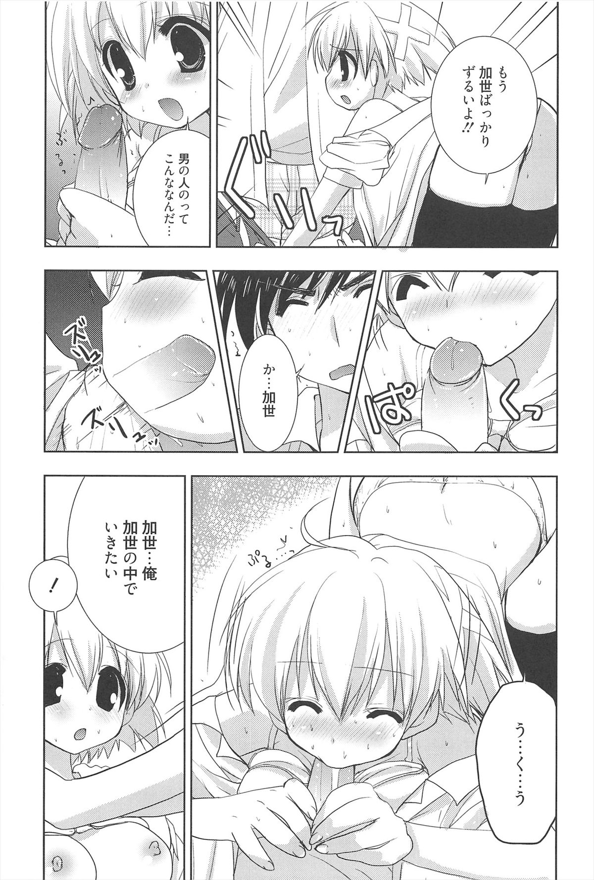 [猫屋敷ねこ丸] しゅがーすぽっと