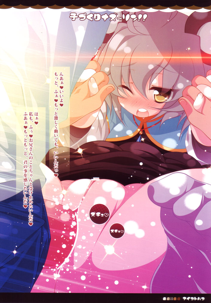 (例大祭SP2) [アイコトバコ (ごりやく)] 子づくりナズーリン！！ (東方Project)